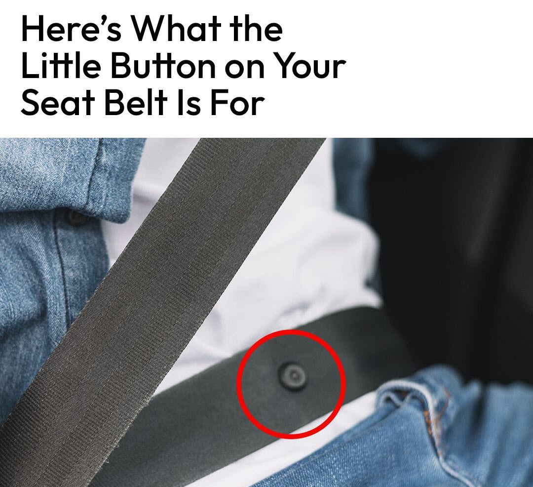 There Is A Button On Your Seatbelt And Nobody Knows Why