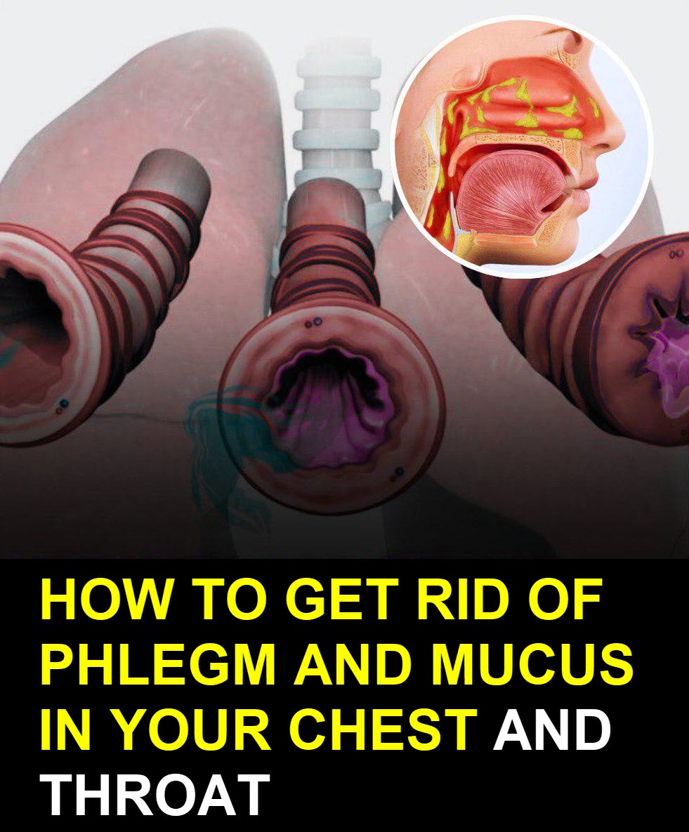 8 Ways To Clear Your Congested Chest And Throat Of Mucous